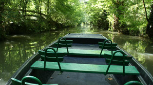 location barque avec guide arcais marais poitevin