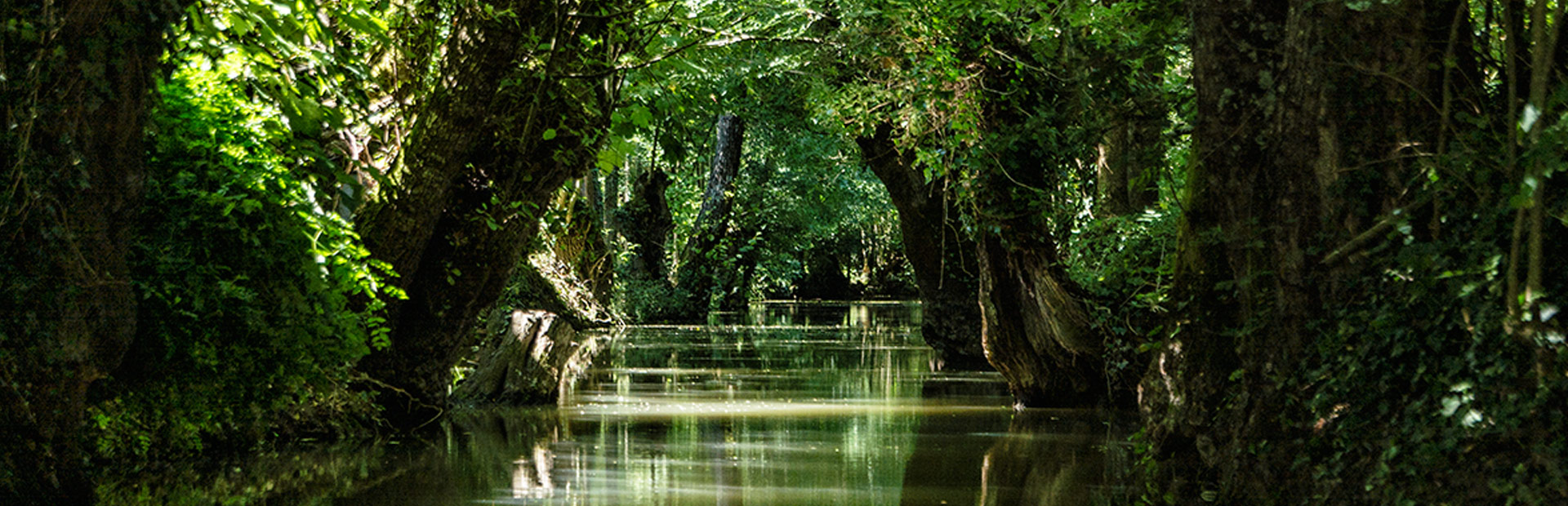 promenade en barque marais poitevin arcais