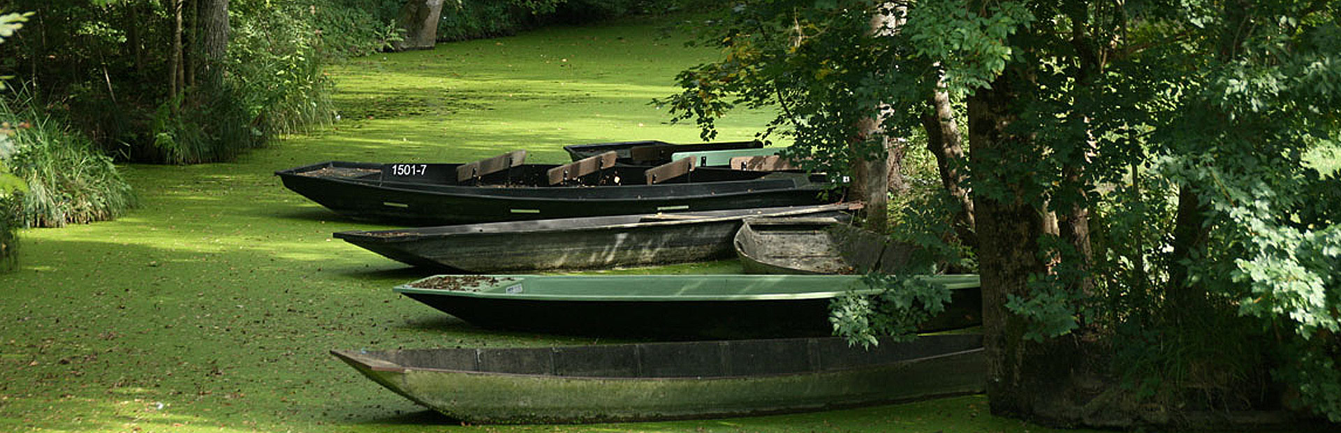 barque marais poitevin